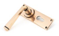 Polished Copper Lever Euro Door Handle Side View