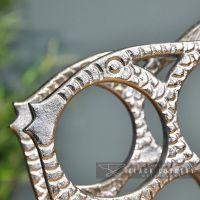 Close-up of the Face on the Polished Nickel "Fish" Wine Rack of the 