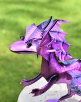 Purple wyrmling head