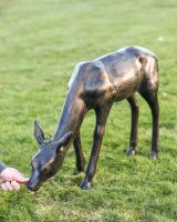 Scale Shot of Recycled Cast Aluminium Antique Bronze Glimmer Grazing Doe Sculpture