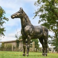 Recycled Cast Aluminium Brushed Gold "Goldado" Horse Sculpture 