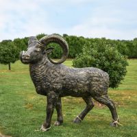 Brushed Gold Recycled Cast Aluminium "Chrysomallus" Ram Sculpture in Situ