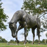 Recycled Cast Aluminium Brushed Gold "Grazing" Horse Sculpture 
