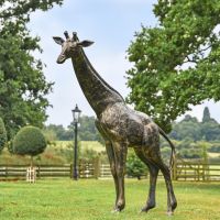 Recycled Cast Aluminium Brushed Gold "Sahel" Giraffe Sculpture