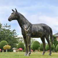 Recycled Cast Aluminium Brushed Gold Secretariat Horse Sculpture in Situ
