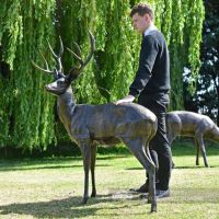 Standing up Stag to Scale