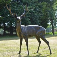 Standing up Stag Finished in Bronze