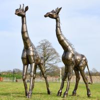 Recycled Metal Twin Giraffe Sculpture in Situ in a Field