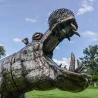 View of the Side of the Hippos Head 