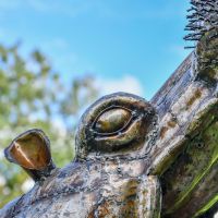 Close-up of the Detail on the Recycled Metal Fighting Hippo Sculpture