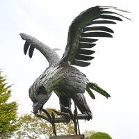 Recycled Metal Life Size Eagle in Situ