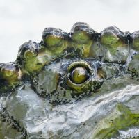Detail on the Recycled Metal T-Rex Sculpture
