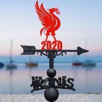 Liver Bird Weathervane in Situ by a Boat Dock