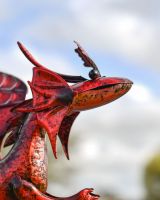 Red Wyrmling Head