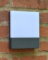 Daytime in situ photo of garden wall light