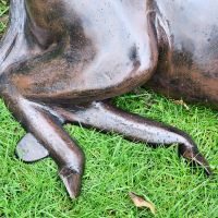 Legs on the Foal