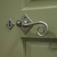 "Rhesus" Monkeytail on Diamond Rose In Situ On A Green Door