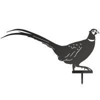 Black Ring-necked Pheasant Silhouette with Ground Spike