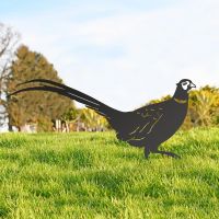 Black Ring-necked Pheasant Silhouette 