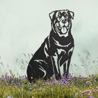 Rottweiler Silhouette Outdoors