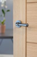 Rounded Pewter Lever Door Handle on Art Deco Rose in Situ