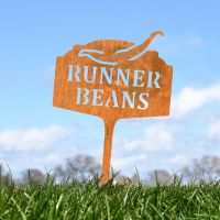 "Runner Beans" Vegetable Label in Situ