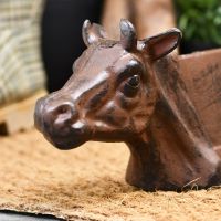 Close-up of the face of the Cow