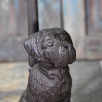 Close-up of the Dogs Face