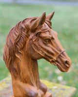 Rustic Cast Iron Horse Bust Garden Sculpture in Situ
