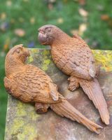 Rustic Cast Iron "Parrot Pair" Outdoor Garden Sculpture in Situ