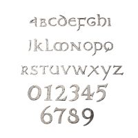 Rustic Chrome Numbers & letters