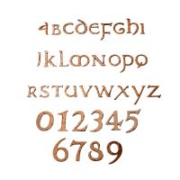 Rustic Copper Numbers & Letters