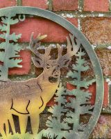 Close up of Deer in Pine Forest Wall Art Stag