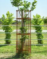 Wrought Iron Traditional "Fernhill" Rustic Tree Guard - Large