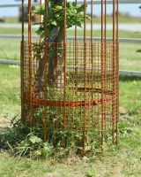 Close up of protective mesh detailing on rustic tree guard