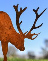 Close Up Of Rustic Cast Iron Stag Sculpture 
