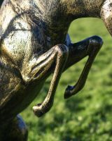 Close up of Black and Gold Rutting Stag Sculpture legs