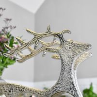 Close up of Stag head with antlers 