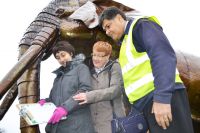"Trunkwood Park" Asian Elephant Garden Sculpture