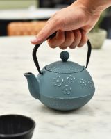 Scale image of cast iron japanese style teapot