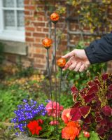 Scale image of orange suncatcher plant pot stakes