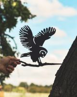 Scale image of black barn owl tree spike