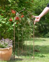 Scale image of Rustic Garden Trellis with Bird Detail