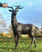 Scale Shot of Antique Bronze "General" Freestanding Stag Garden Sculpture