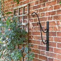 Black Scrolled Hanging Basket Bracket in Situ in the Garden