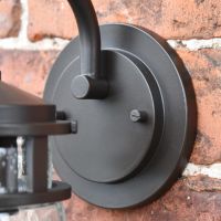 Close-up of the Circular Back Plate