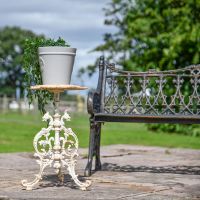 Serpent Gothic Rustic Cream Cast Iron Side Table in Situ in the Garden