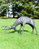 Aged Verdigris "Rocky" Fighting Buck Garden Sculpture in SItu