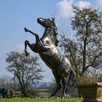 "Fargo" Rearing Horse Sculpture 