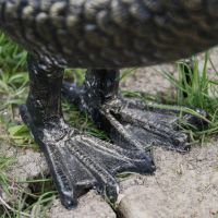 Close up of Webbed Feet on Goose Sculpture 